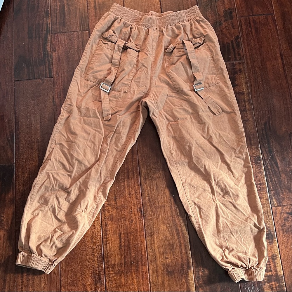 Shien kaki cargo